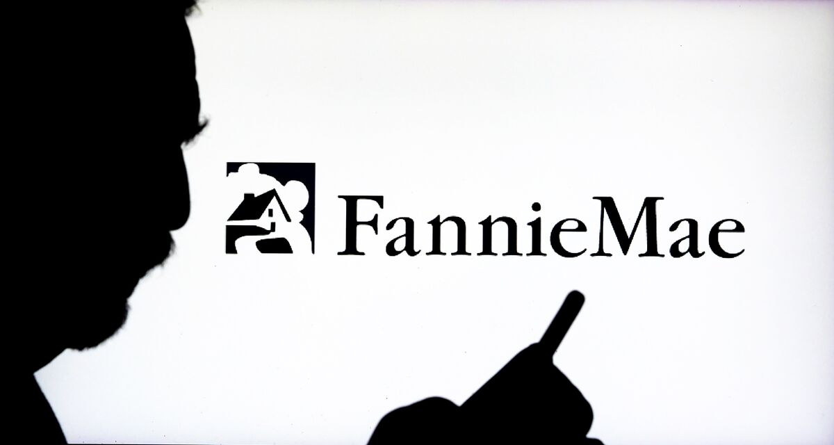 Elon Musk Ally Christopher Stanley Abruptly Resigns From Fannie Mae Board