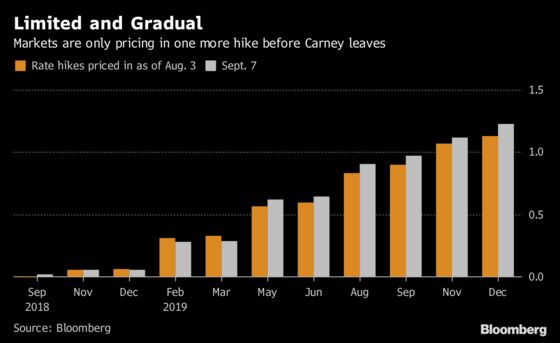 BOE Seen Holding Rates After August Hike: Decision Day Guide