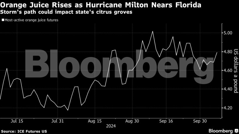 Orange Juice Rises as Hurricane Milton Nears Florida | Storm's path could impact state's citrus groves