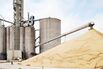 Soybeans at a Cargill grain elevator in Albion, Neb.