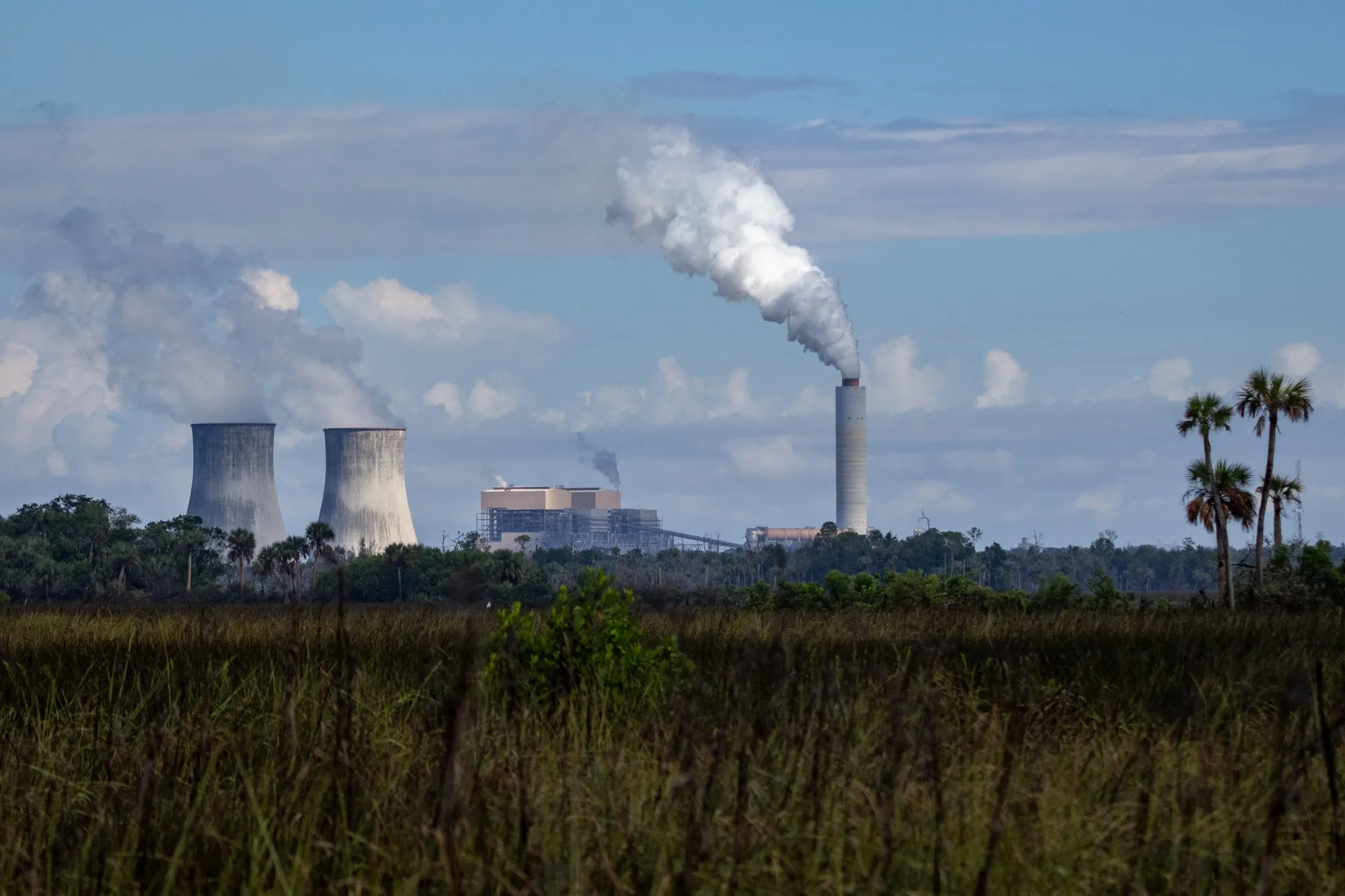 A nuclear power plant&nbsp;in Crystal River, Florida.