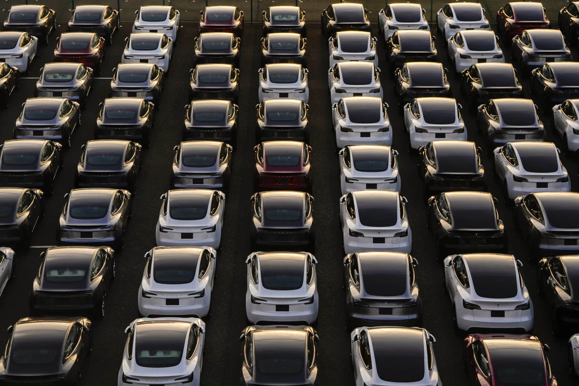 Tesla vehicles in a parking lot after arriving at a port in Yokohama, Japan.