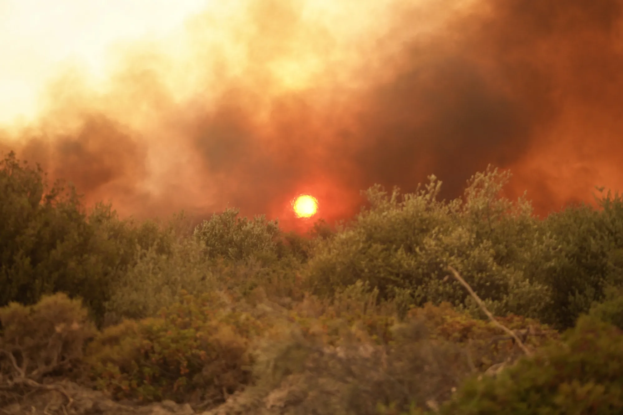 Smoke covers the sun during a wildfire in Krieza, on Evia Island, Greece, on Tuesday, July 30, 2024.&nbsp;