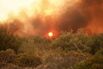Wildfires Burn On Greek Island Of Evia