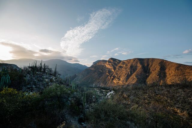 The Tehuacán-Cuicatlán Biosphere Reserve near Oaxaca City