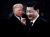 Presidents Trump and Xi
