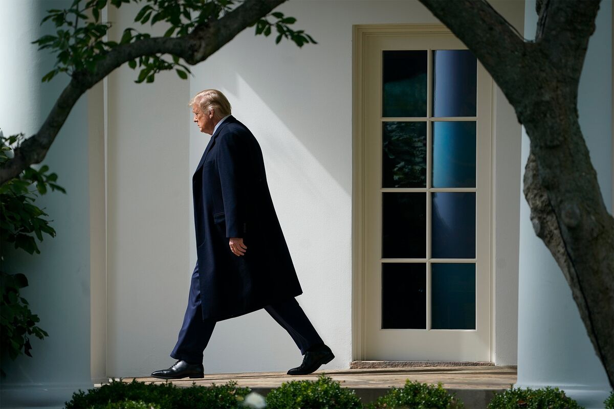 trump shadow president
