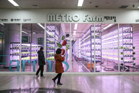Marijuana and Makeup Are New Growth Areas for Vertical Farms