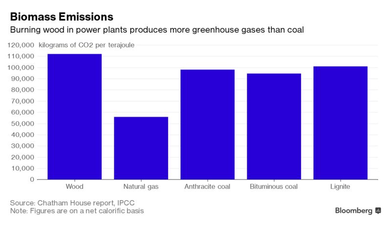 U.K. Claim That Burning Biomass Is Clean Seen as `Flawed’ | My Trip To