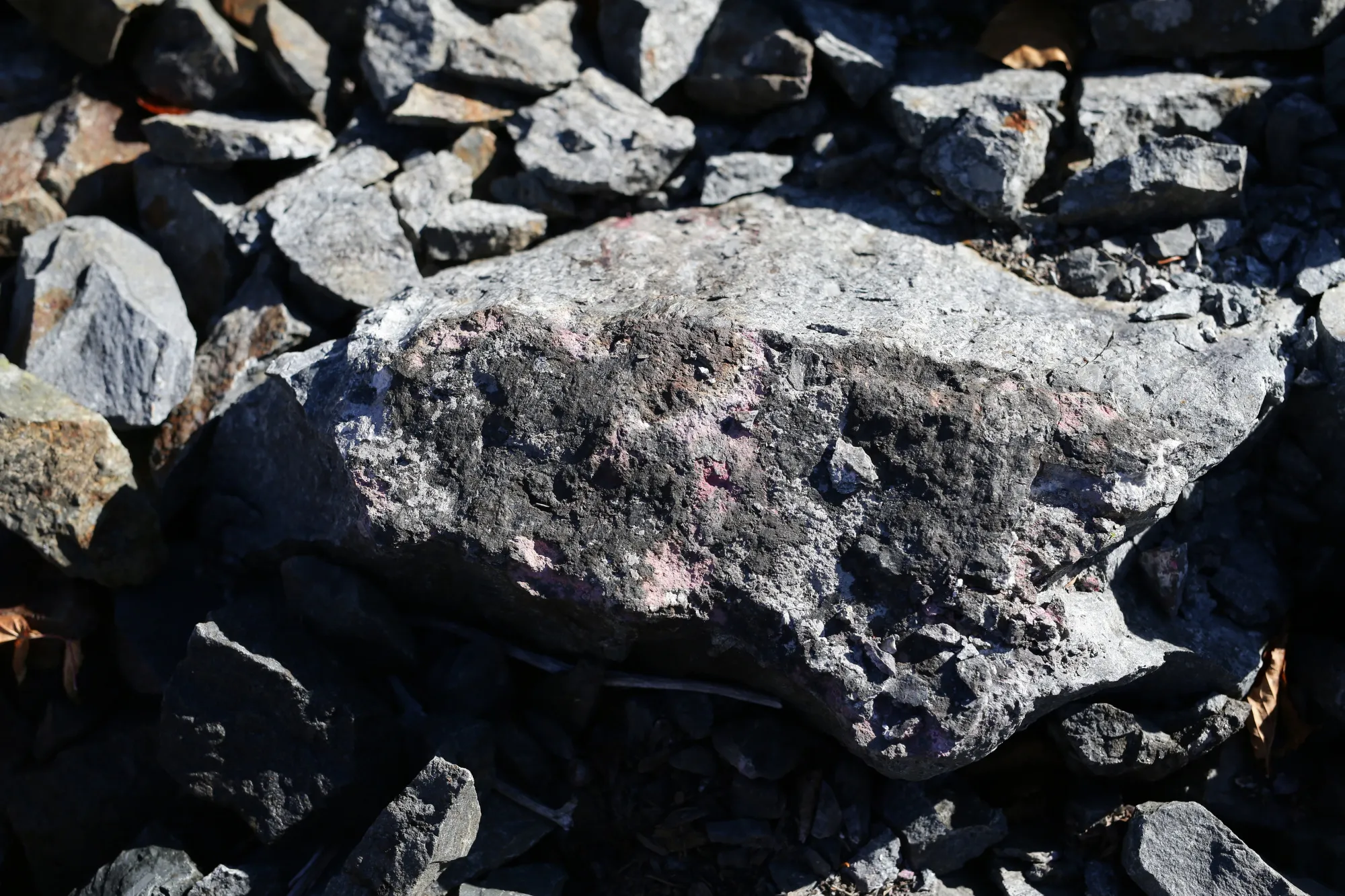 Ghost Town Of Cobalt Gets First Jolt From Tesla's Electric Cars 