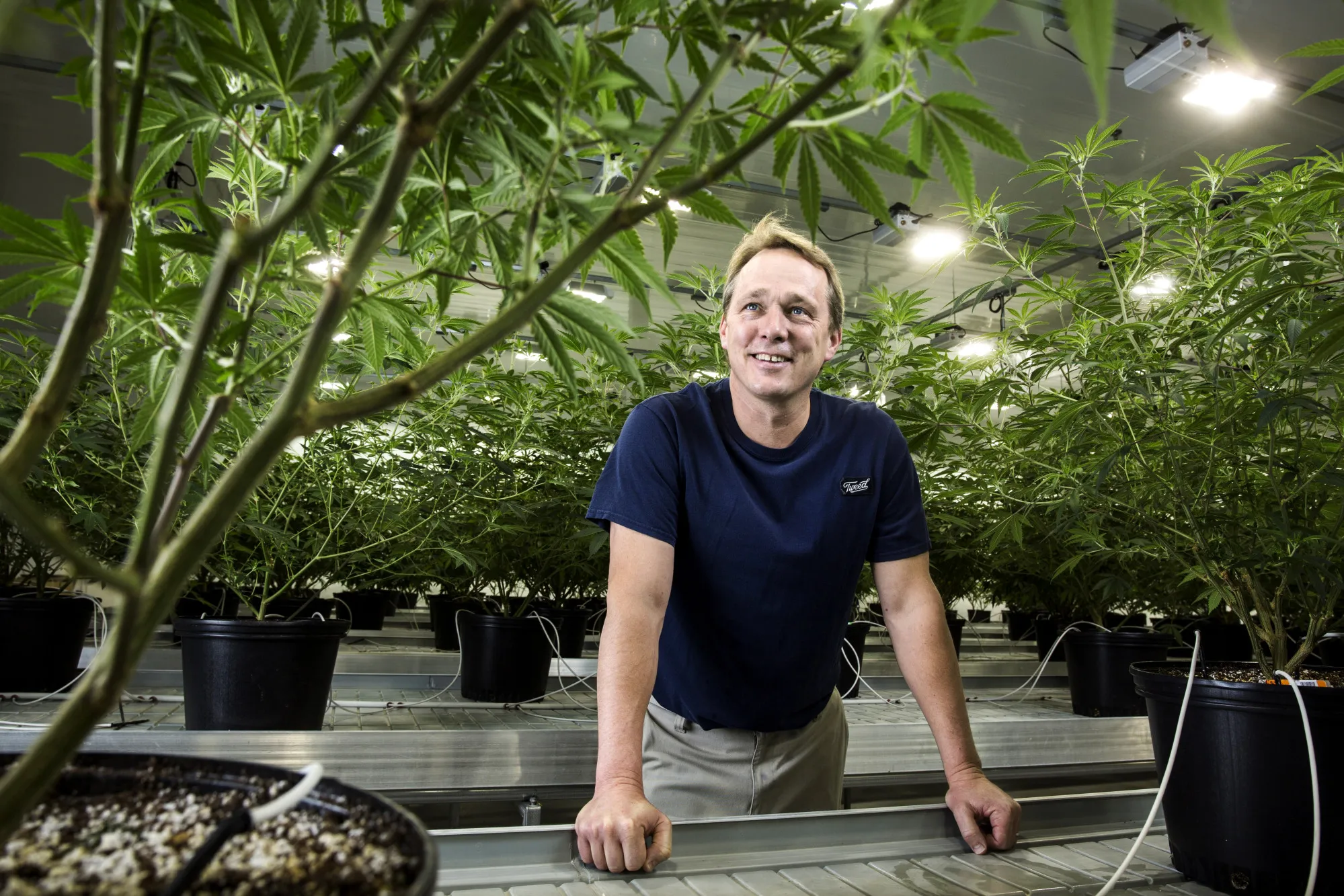 Bruce Linton, chief executive officer of Canopy Growth Corp.