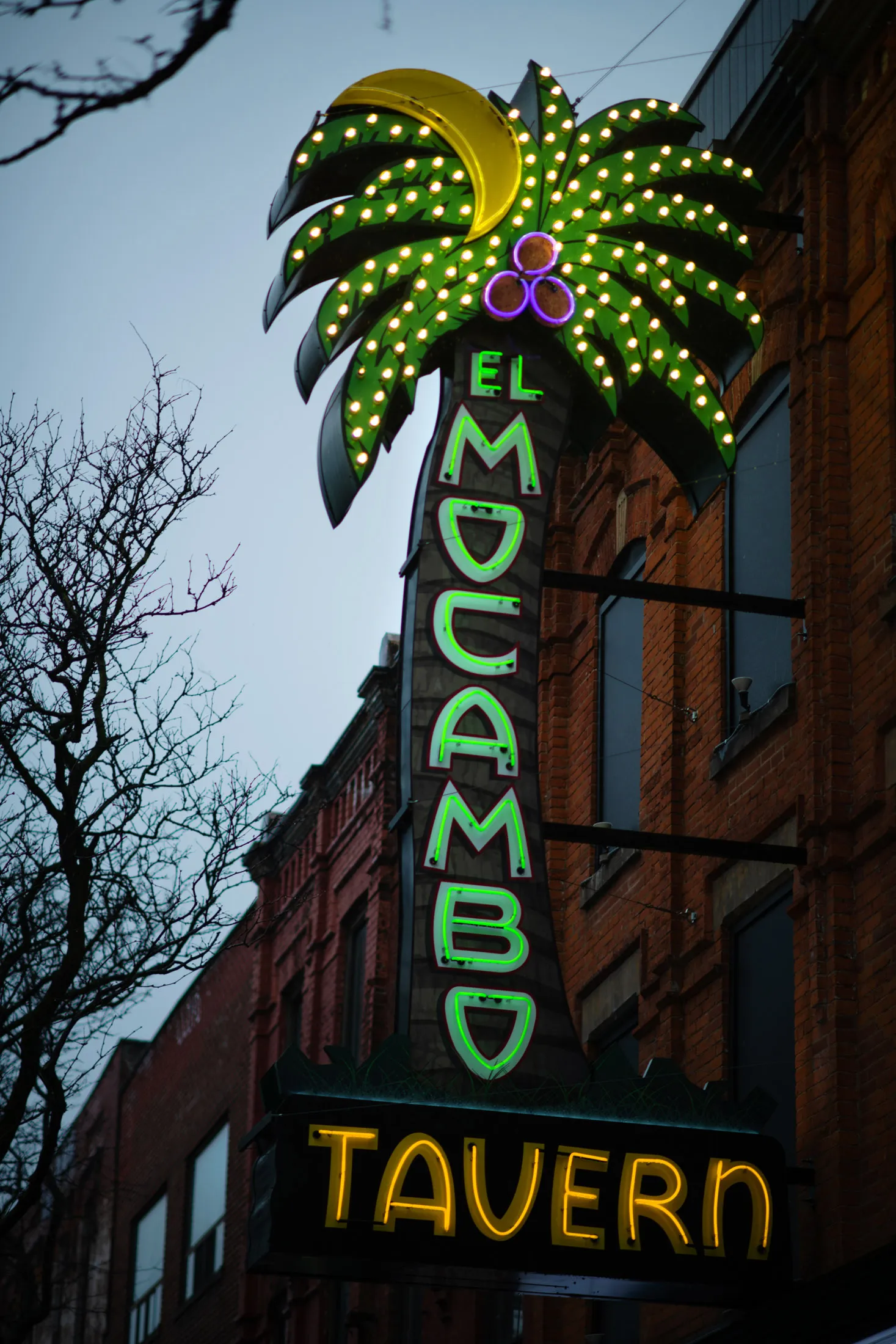 Wekerle Re-Opens El Mocambo Toronto for Age of Live Streaming - Bloomberg