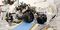 Robot: Curiosity Rover