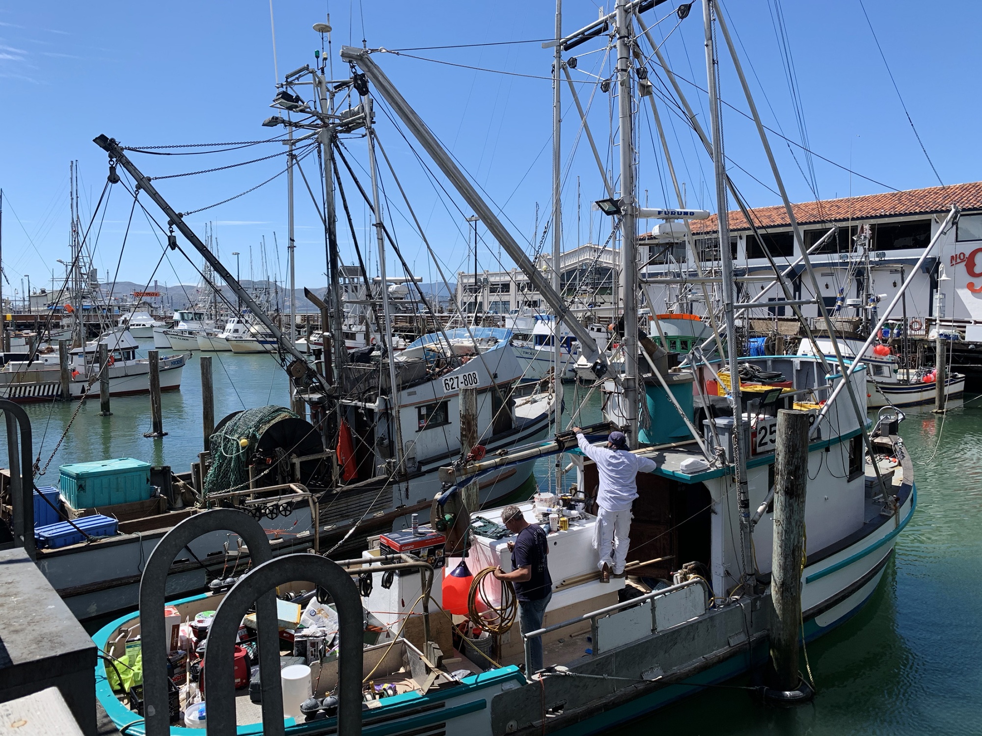 Fleet of Small Fishing Boats Around Pier 39, Fisherman's Wharf