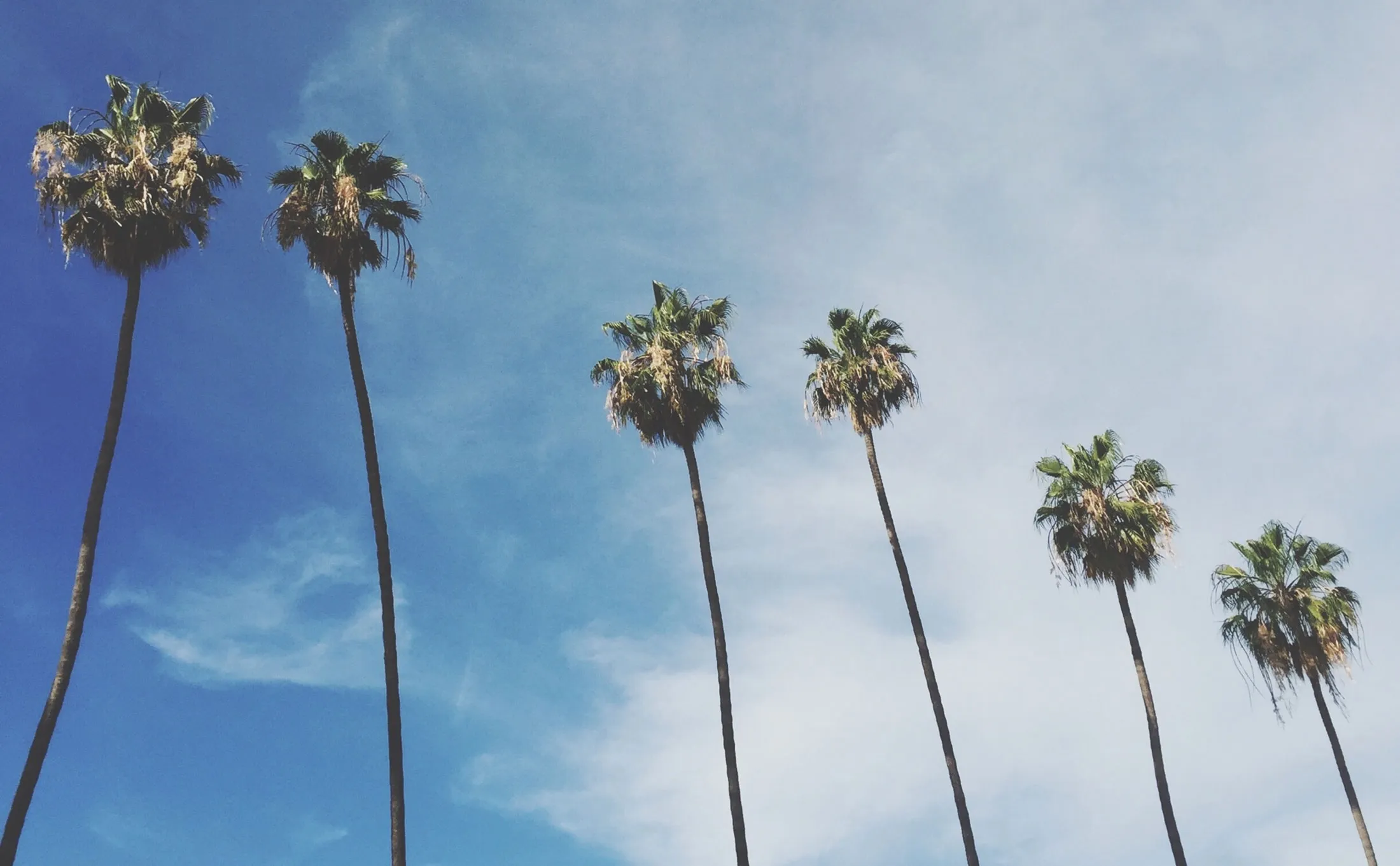 1473152759_CALI