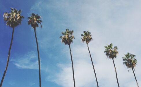 1473152759_CALI