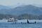 1496180446_kayaking-whales-nimmo-01