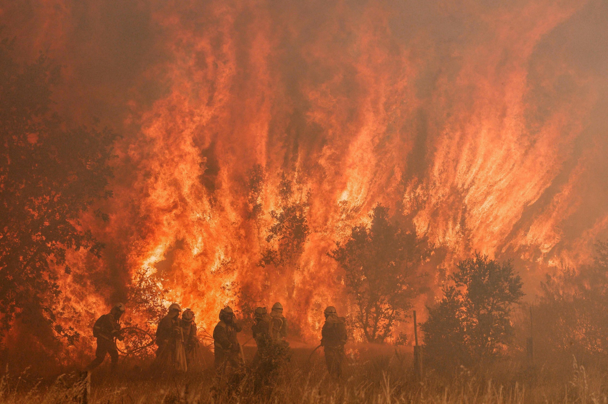 Firefighters battle a wildfire in Pumarejo de Tera near Zamora, northern Spain, on June 18.