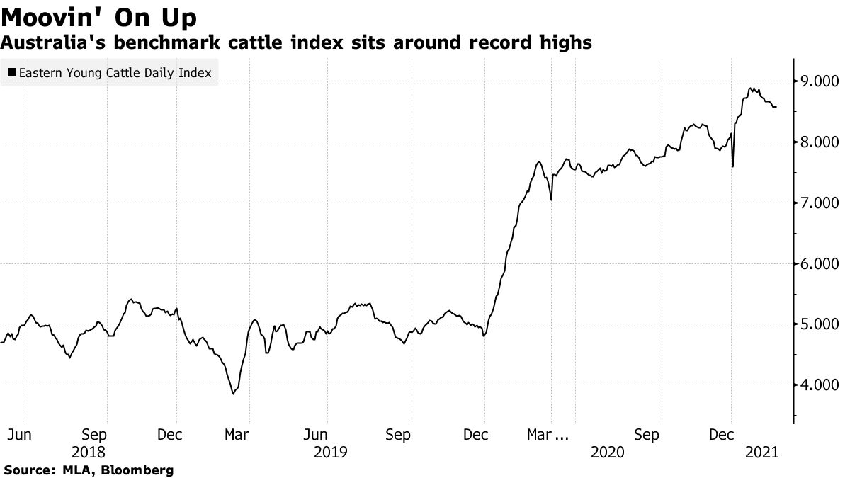 Australia's benchmark cattle index sits around record highs