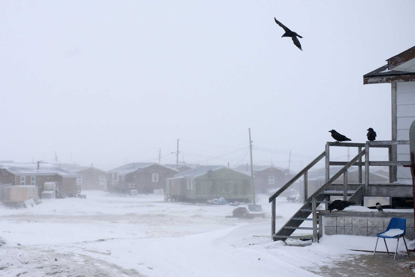 Ravens sit by the stairs of a building, with low buildings and utility poles further off, during a snowstorm in Clyde River, Nunavut, in Canada in 2016.