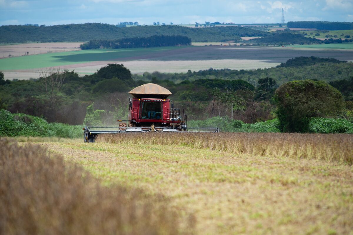 Diesel Crunch Will Get Worse as Brazil’s Farmers Begin Planting