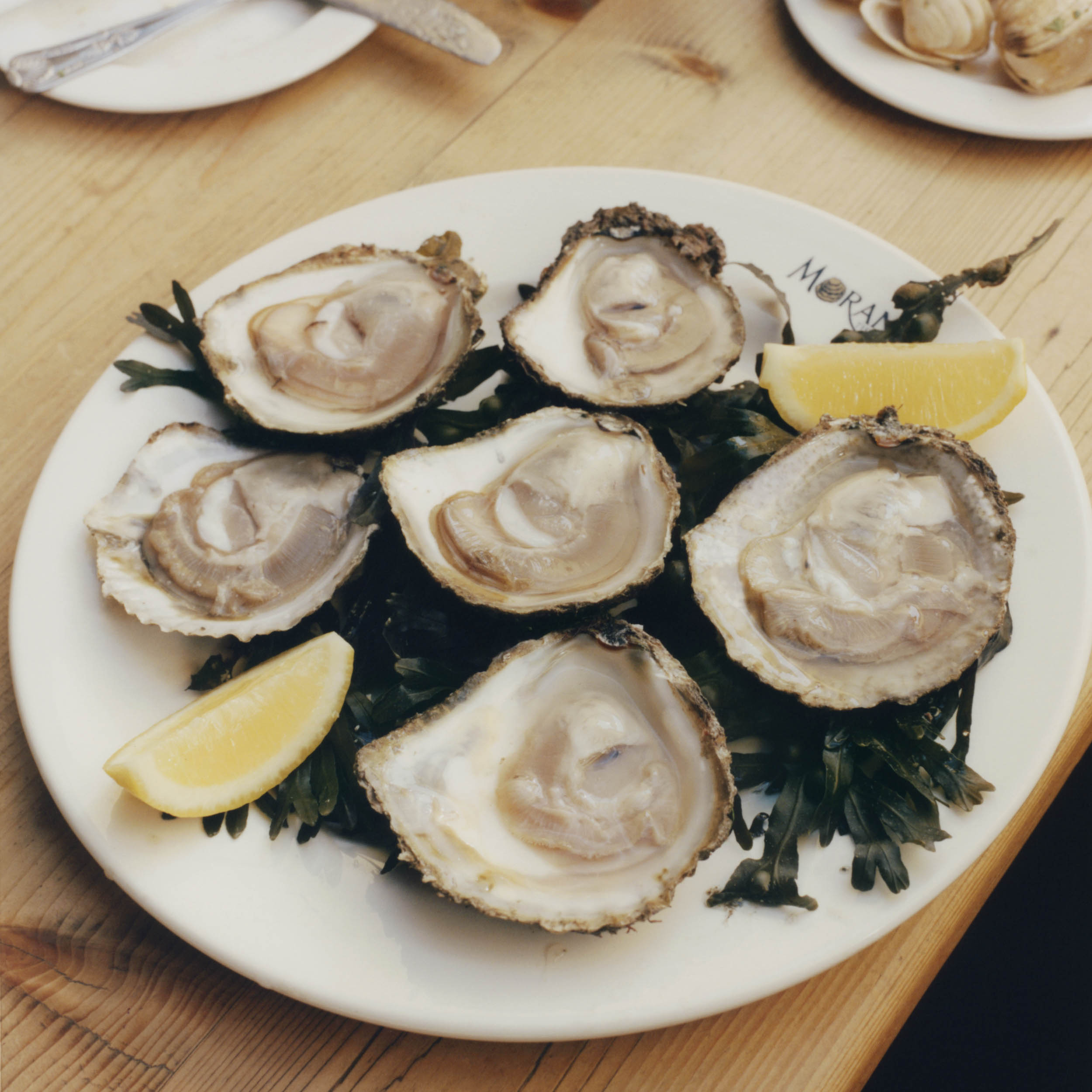 Galway Ireland Has the Best Native Oysters on Earth - Bloomberg