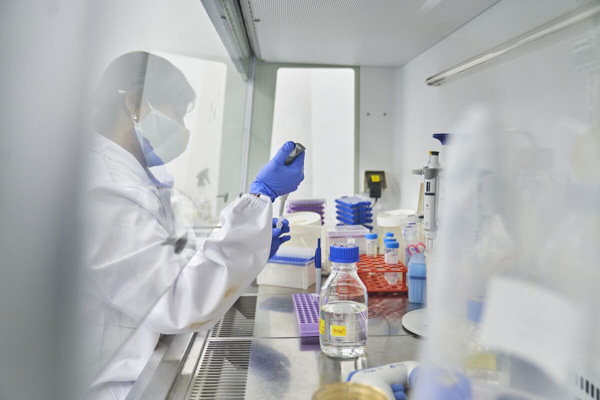 Sarepta (SRPT) to Seek Approval for DMD Therapy Even After Drug Trial Failed Bloomberg