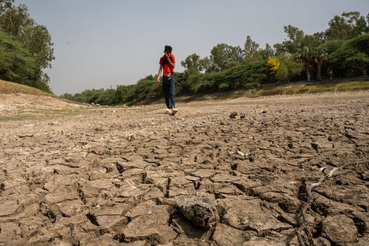 Businesses Seek Ways to Protect Supply Chains From Extreme Weather