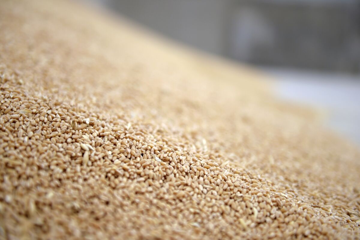 Australian Wheat Crop Expected to Drop 26% on Weather, War Costs