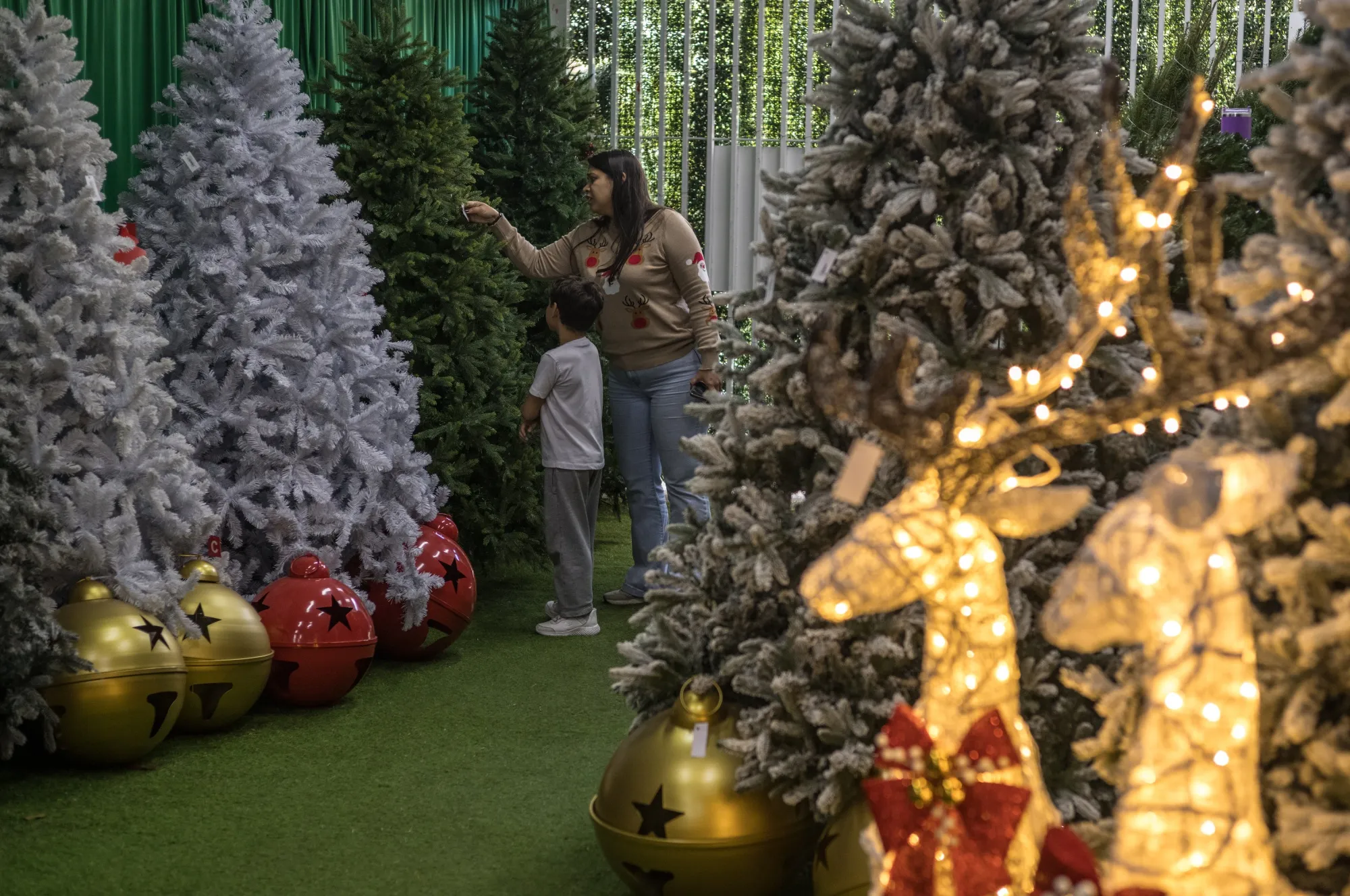 A mother and child shop for a Christmas tree in the Las Mercedes neighborhood of Caracas.
