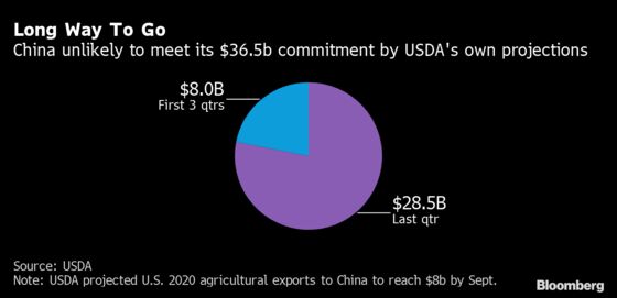 Trump Bet on 2020 China Farm Bonanza Teeters on Edge of Collapse
