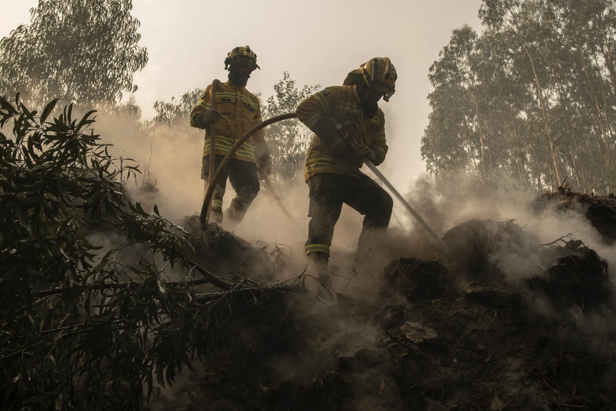 Emergency wildfire operations in the Aveiro region of Portugal in September.