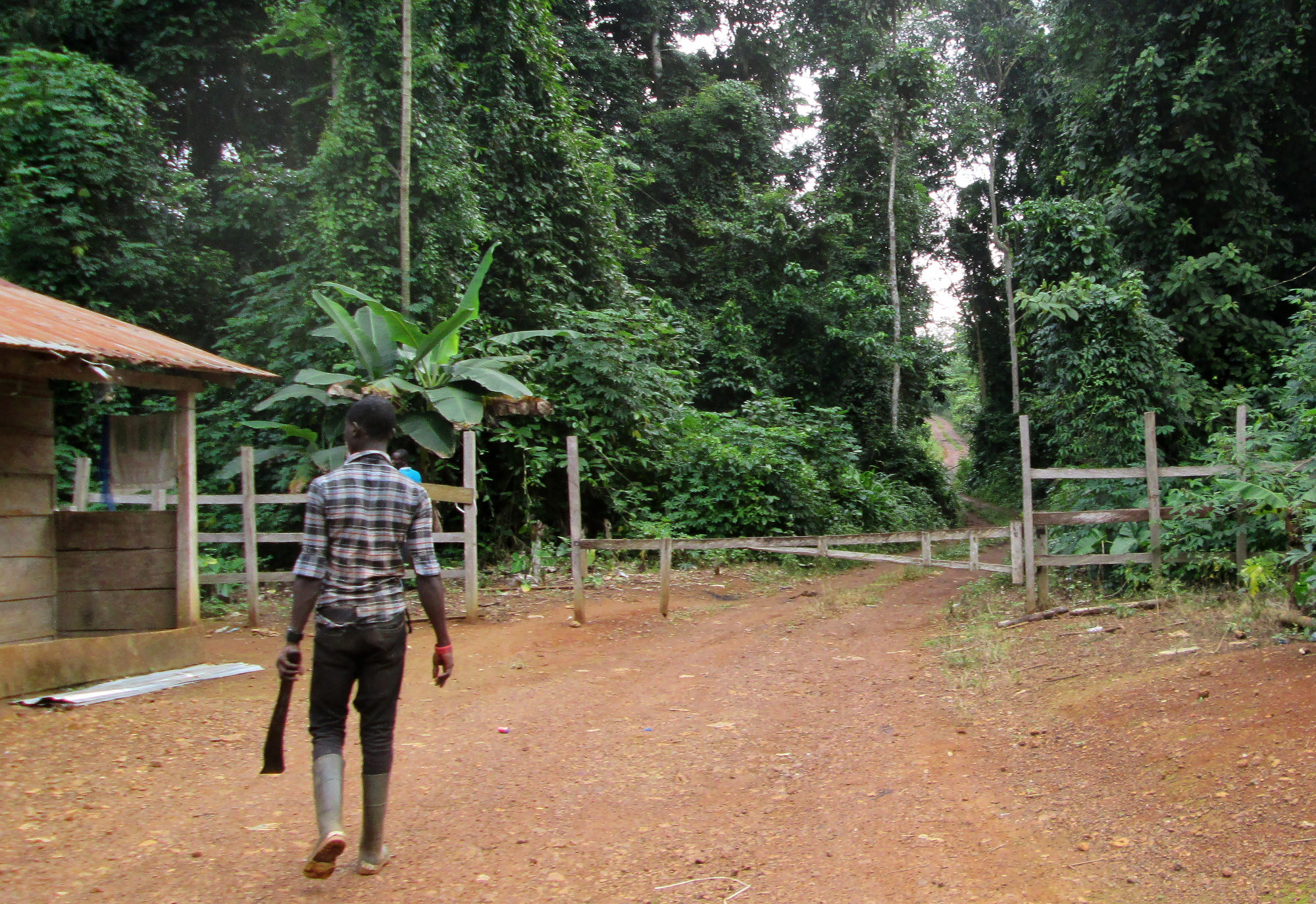 Premium Photo  Poor boy in village of ghana