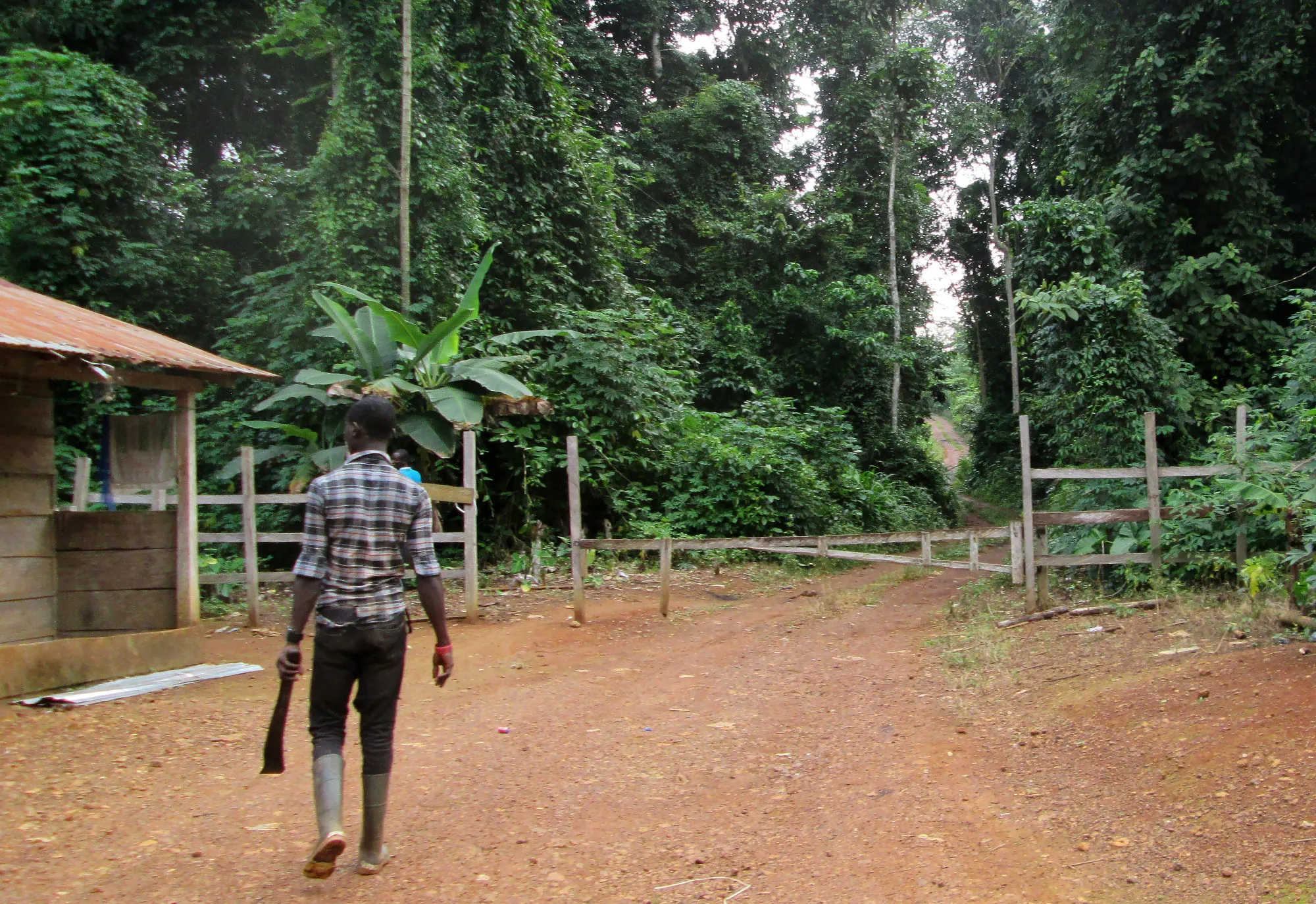 A cocoa farmer walks near a border crossing in the Ghanaian village of Yakasi.