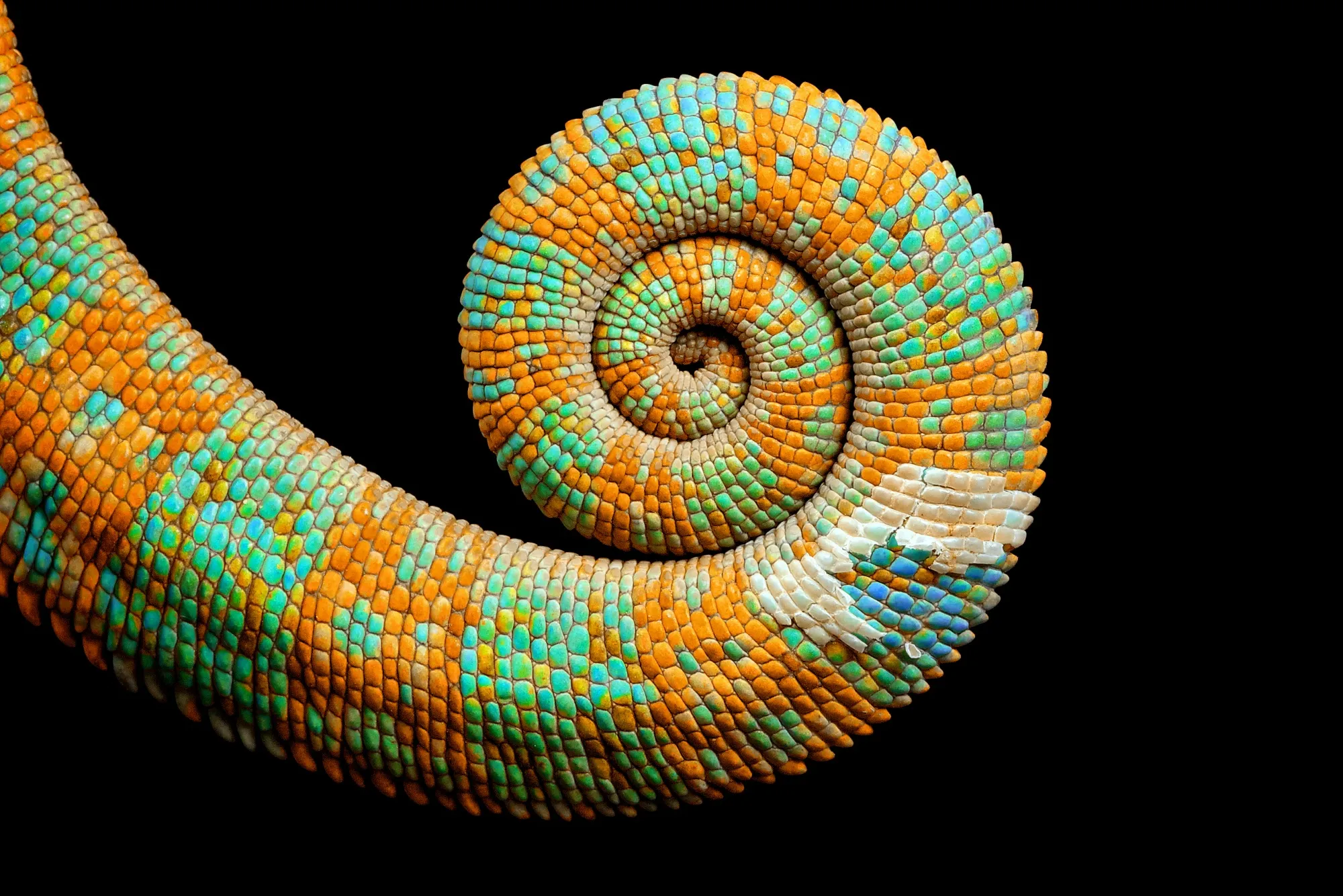 Watch when it moves.