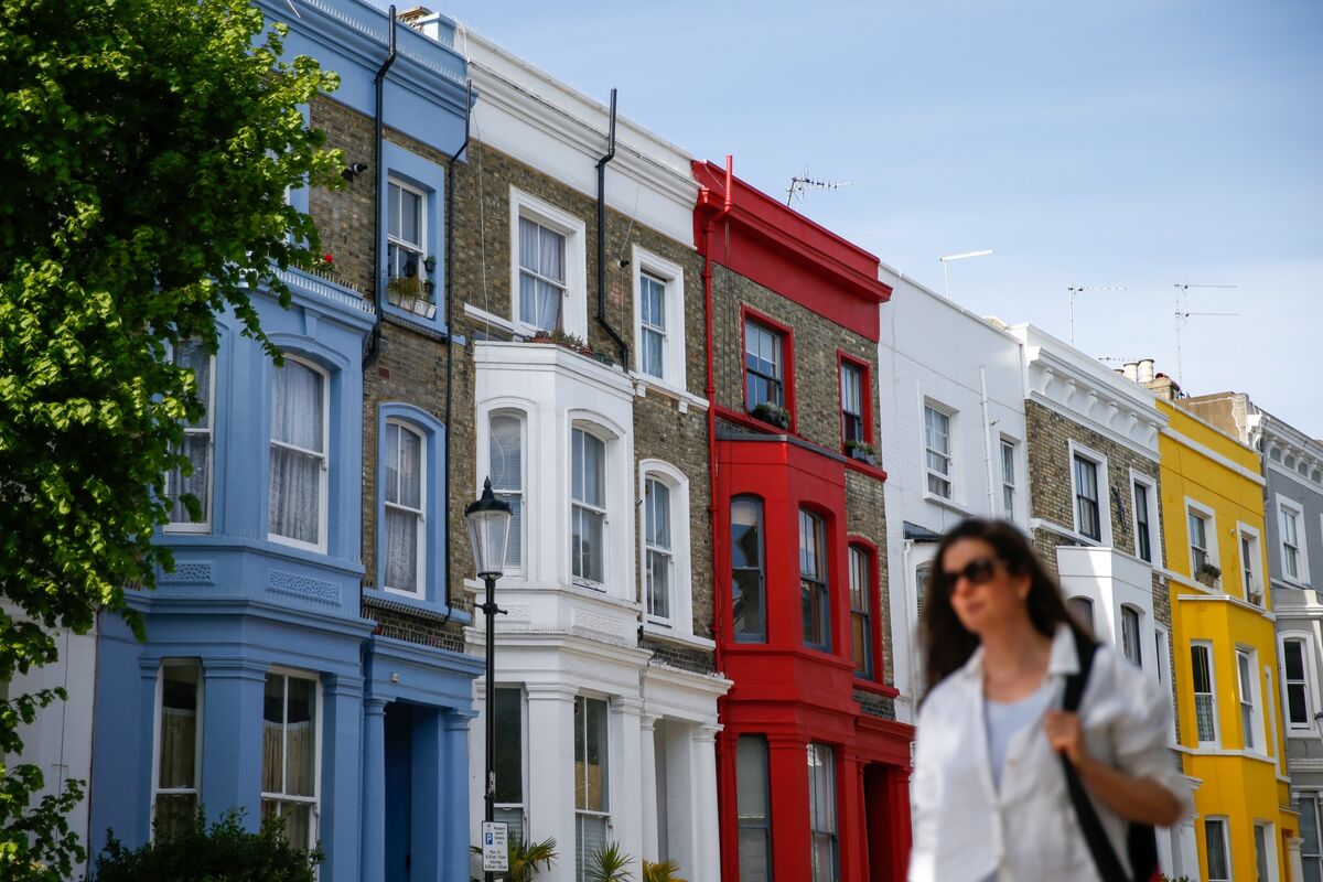 Роза Notting Hill