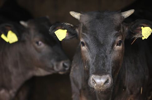 Japan May Open Beef in U.S.-Led Trade Talks, Former Adviser Says