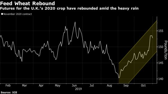 Too Wet, Too Dry: Wheat Season Gets Off to a Mixed Start