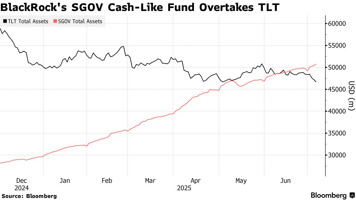 ブラックロックのＥＴＦに明暗、現金が悪名高い長期債ファンドを圧倒 - Bloomberg