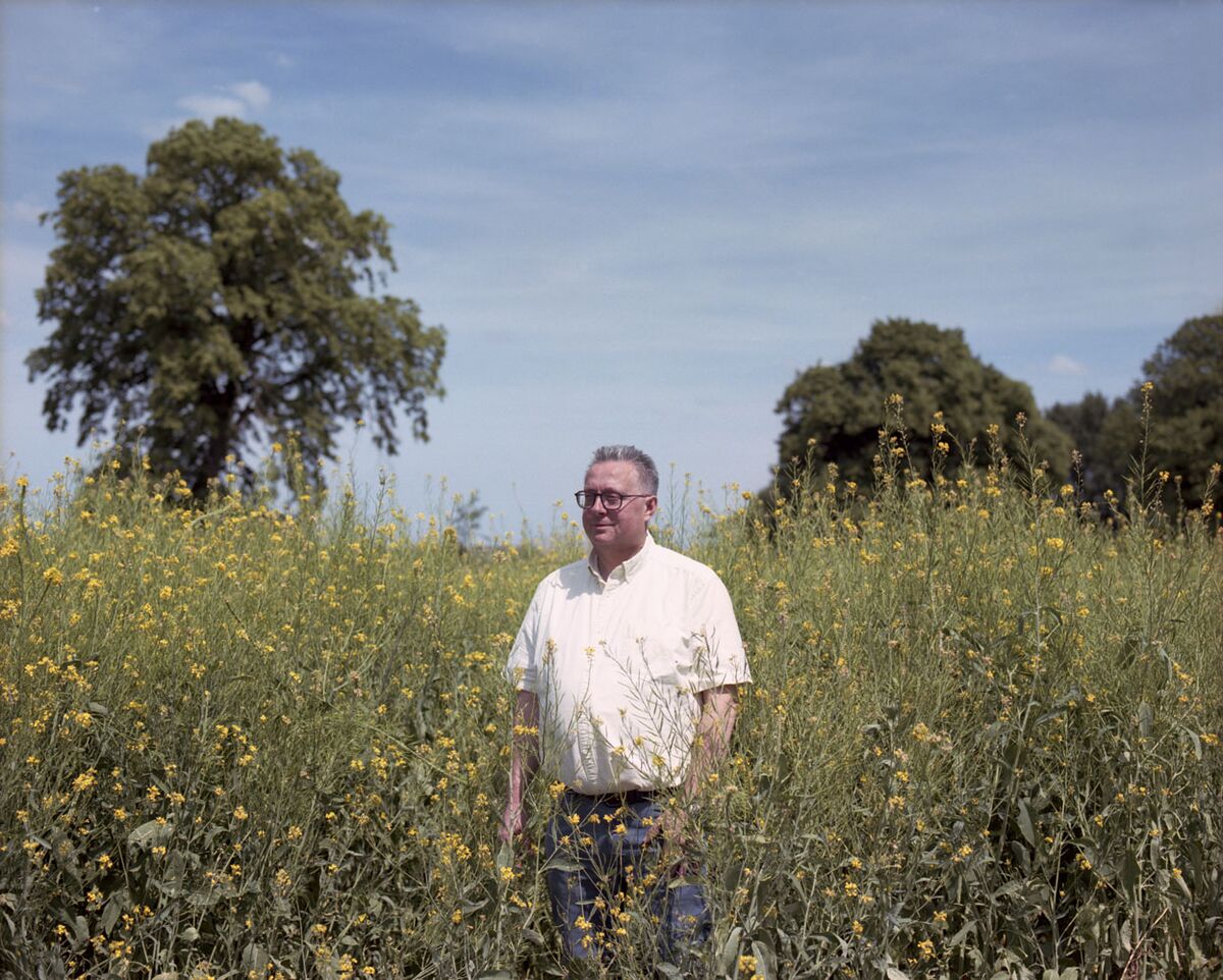 The Future of Fierce English Mustard Is in American Hands