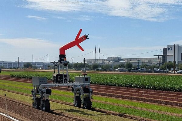 A $400 AI Bet That’s Actually a High-Stakes Wager on the Future of Work