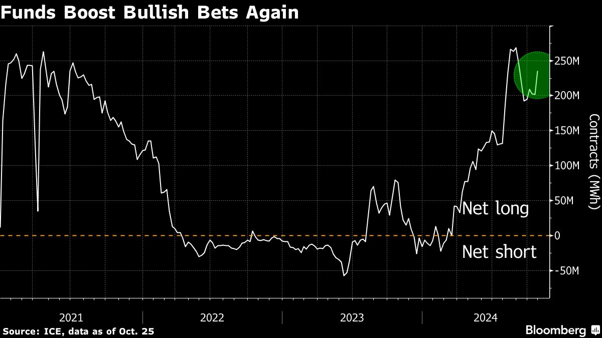 Investment Funds Ramp Up Bets That European Gas Has Room to Rise