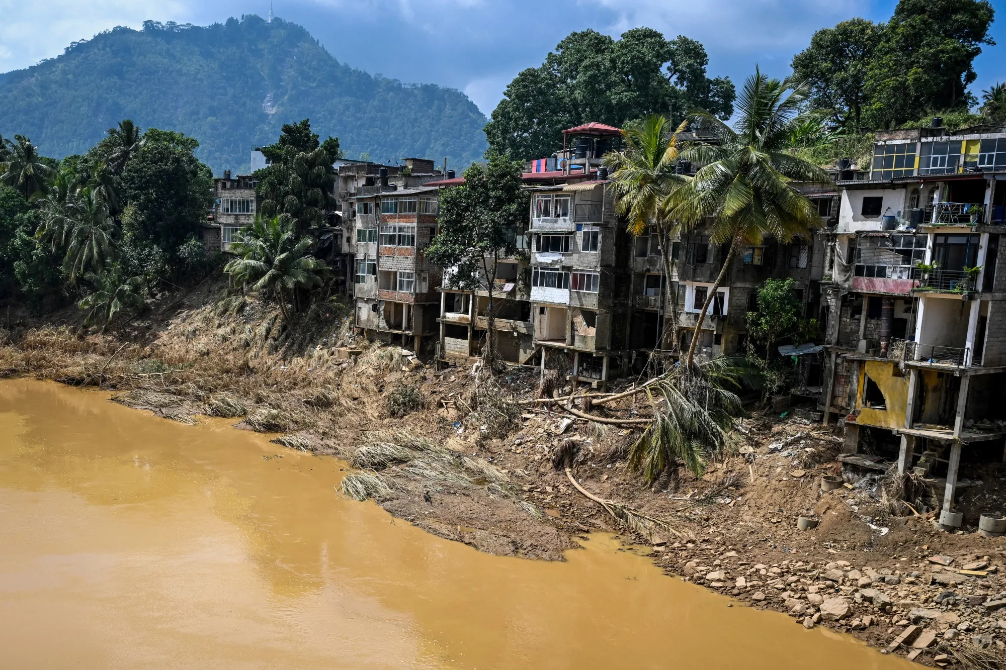 Uprooted trees lie along damaged buildings following a landslide in the aftermath of Cyclone Ditwah in Gampola town, Sri Lanka, on Dec. 4, 2025.