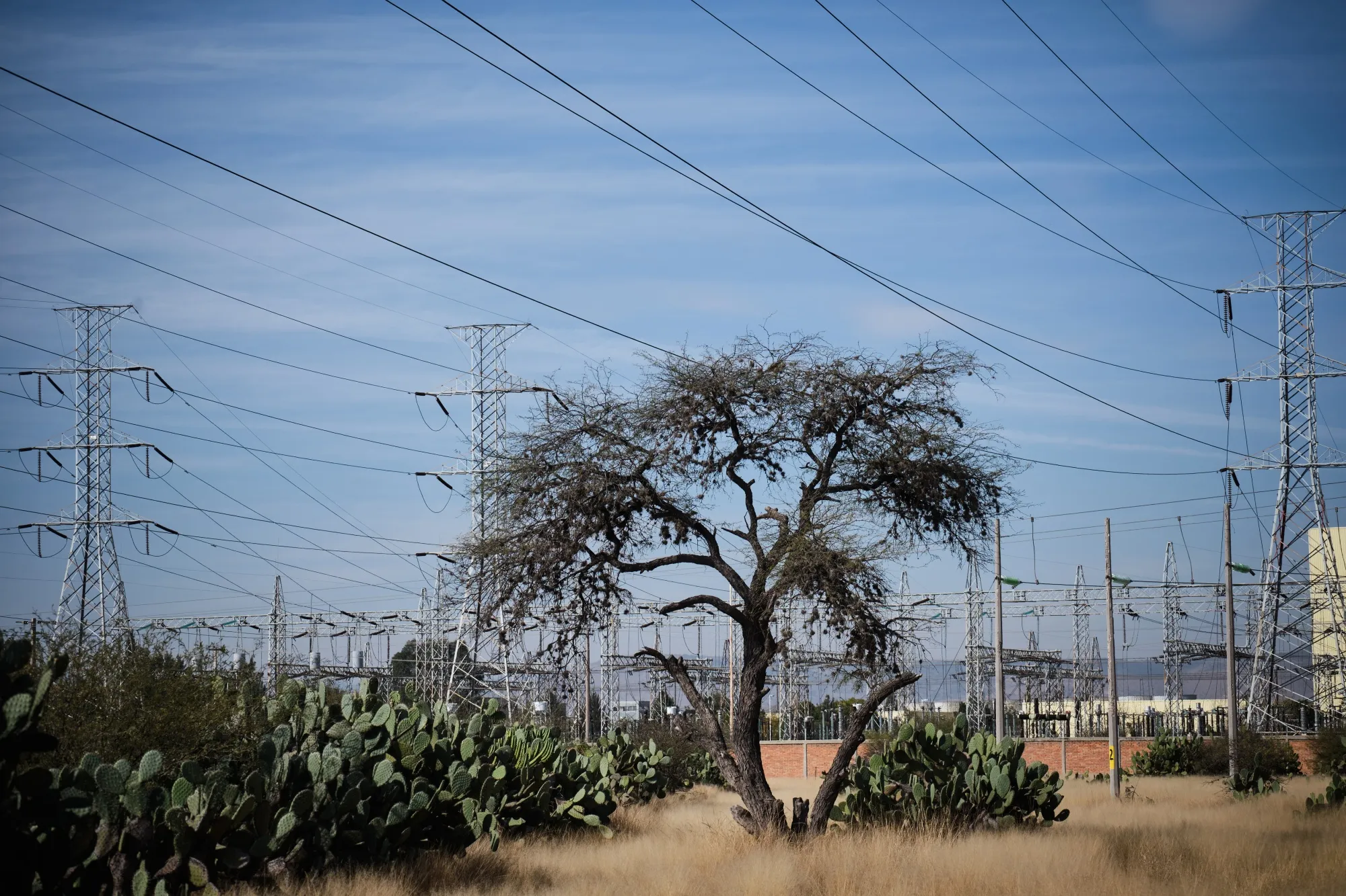 AMLO's Nationalist Bent Casts 200 Energy Projects Into Limbo 