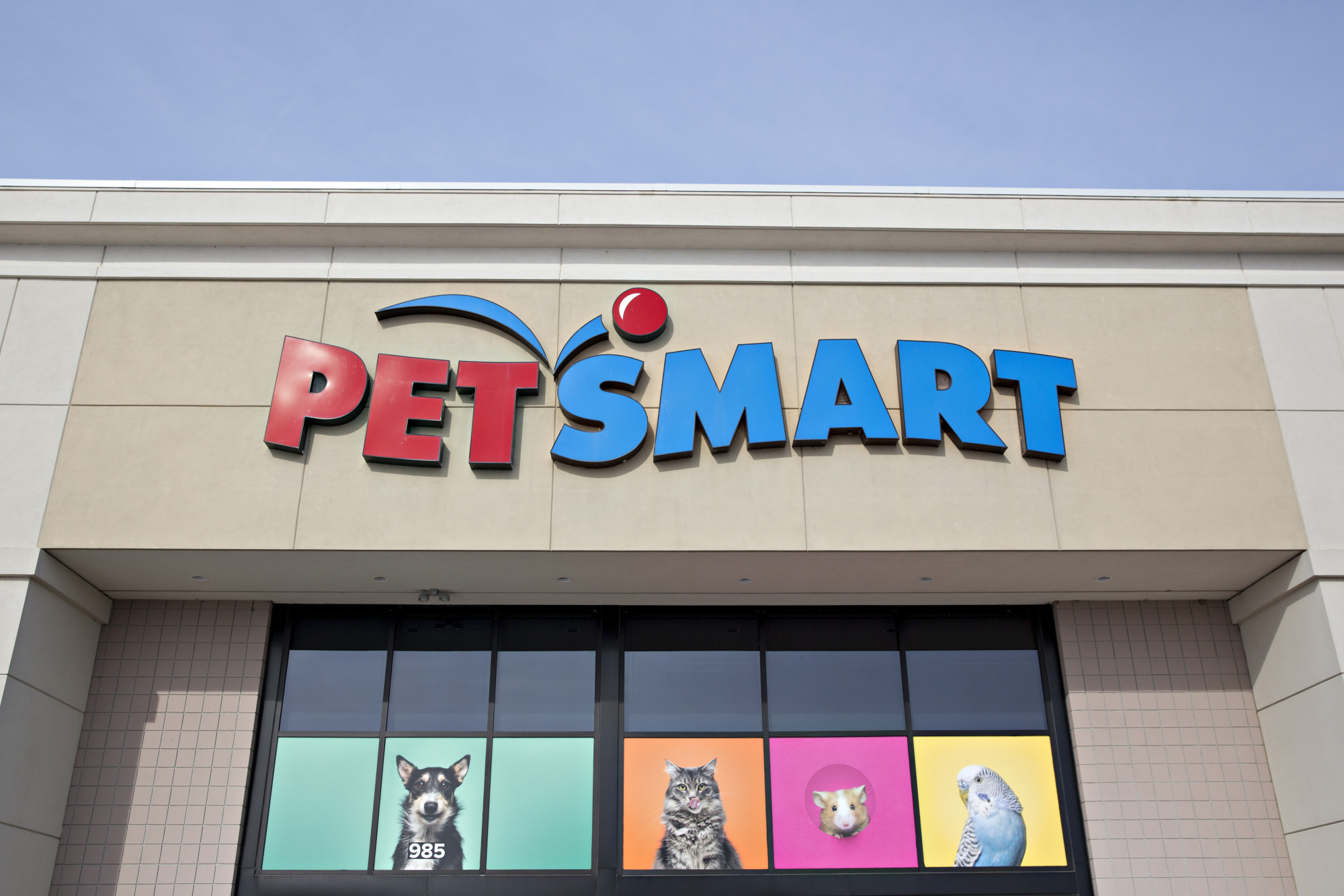 BC Partners To Split PetSmart Chewy In 6 Billion Recap Deal Bloomberg