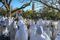 <p>Aksum</p>