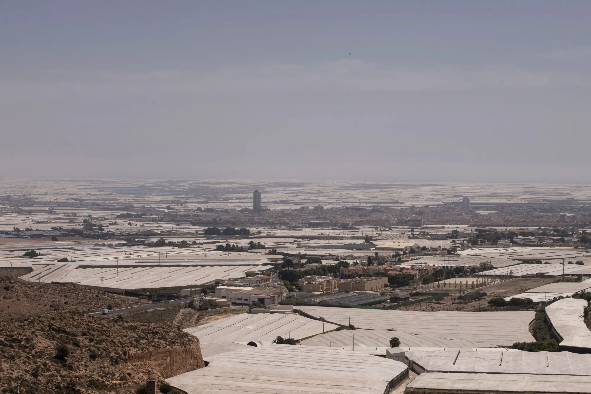 A colossal network of canals and pipelines built in the 1970s brought water to the desert of Almería, turning it into a European fruit and vegetable powerhouse with so many greenhouses that the sea of plastic coverings can be seen from space.