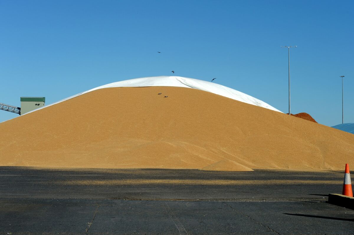 ⚫️ BLOOMBERG: GrainCorp Ltd. delude le stime sugli utili annuali: mercato difficile per eccesso di offerta e domanda debole.