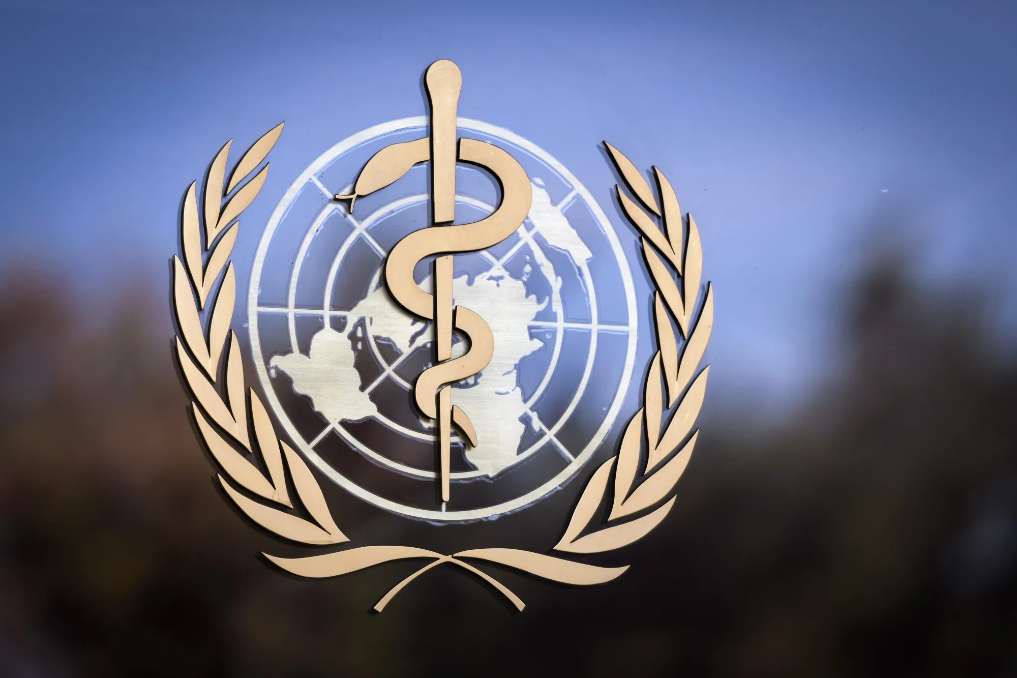 China's voluntary donations to the WHO are smaller than those from Kuwait, Pakistan or the Democratic Republic of Congo.