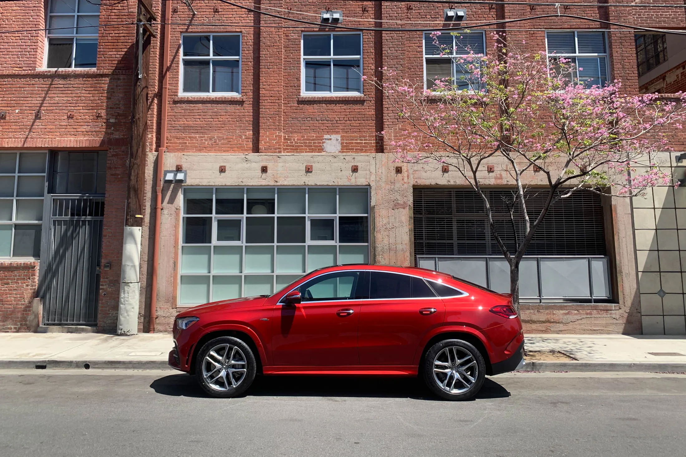 SUVs are very popular.&nbsp;